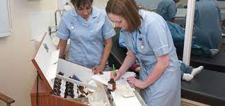 Approaches to Professional Nursing Practice