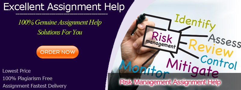 Risk Management Assignment Help